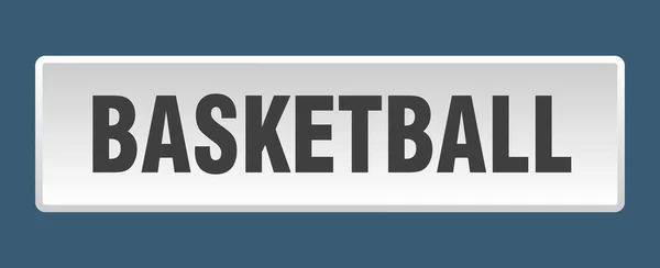 Basketknappen Basketboll Fyrkantig Vit Tryckknapp — Stock vektor