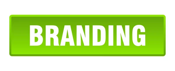 Botão Branding Marca Verde Quadrado Botão Pressão — Vetor de Stock