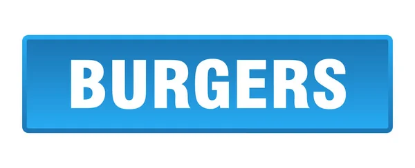 Burgers Button Burgers Square Blue Push Button — Stock Vector