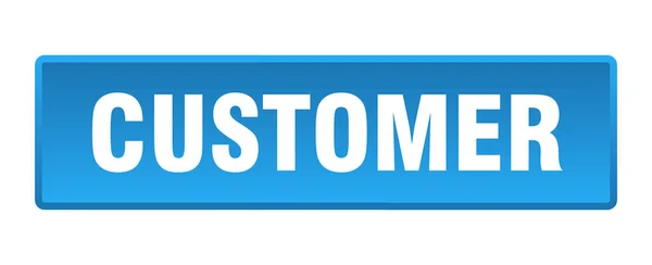 Customer Button Customer Square Blue Push Button — Stock Vector