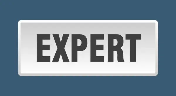 Expertknappen Expert Fyrkantig Vit Tryckknapp — Stock vektor