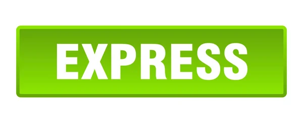 Express Taste Expressquadratischer Grüner Druckknopf — Stockvektor