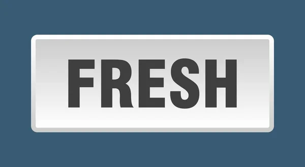 Fresh Button Fresh Square White Push Button — Stock Vector