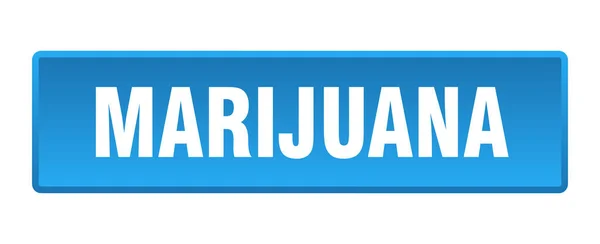 Botón Marihuana Marihuana Pulsador Azul Cuadrado — Archivo Imágenes Vectoriales