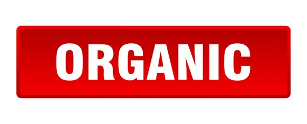Organikus Gomb Organikus Négyzet Piros Nyomógomb — Stock Vector