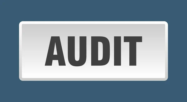 Botão Auditoria Auditoria Quadrado Botão Branco —  Vetores de Stock