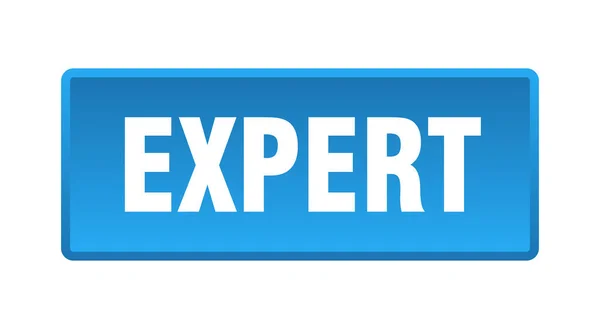 Expert Button Expert Square Blue Push Button — Stock Vector