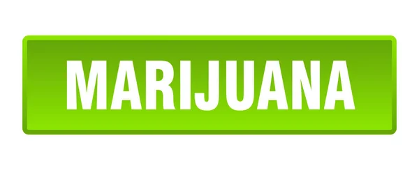 Marihuana Düğmesi Marijuana Kare Yeşil Itme Düğmesi — Stok Vektör
