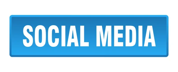 Botão Mídia Social Social Media Quadrado Azul Botão — Vetor de Stock
