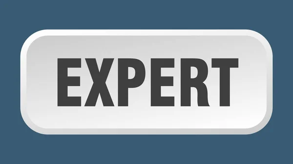 Expertknappen Expert Kvadrat Tryckknapp — Stock vektor