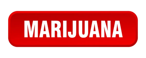 Botón Marihuana Marihuana Cuadrado Pulsador — Archivo Imágenes Vectoriales