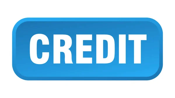 Kredittknapp Trykknapp Kredittkvadrat – stockvektor