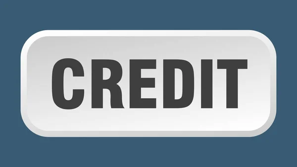Botão Crédito Quadrado Crédito Botão — Vetor de Stock