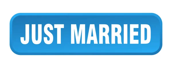Sadece Evlilik Düğmesi Yeni Evlendik Tuşuna Bas — Stok Vektör
