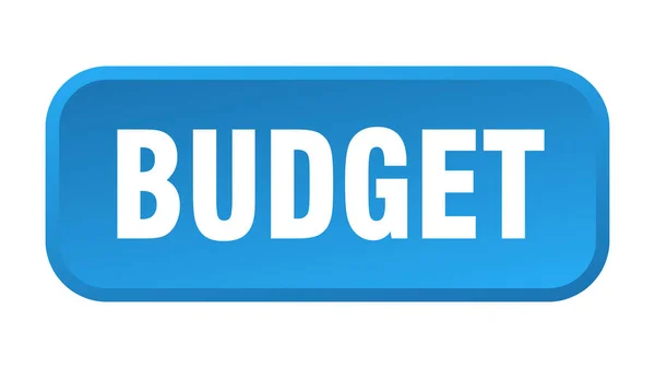 Botão Orçamento Orçamento Quadrado Botão — Vetor de Stock