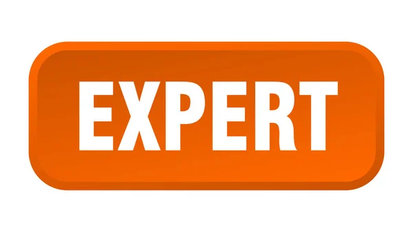 Expertknappen Expert Kvadrat Tryckknapp — Stock vektor