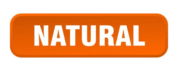 Botón Natural Botón Cuadrado Natural — Vector de stock