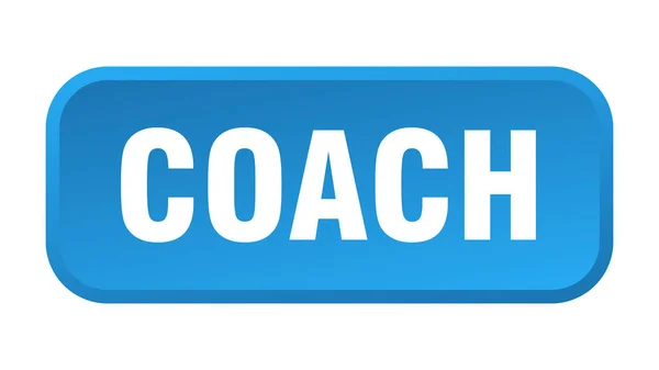 Coach Button Coach Square Push Button — Stock Vector