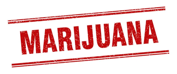 Marihuana Marke Marihuana Quadratisches Grunge Zeichen — Stockvektor