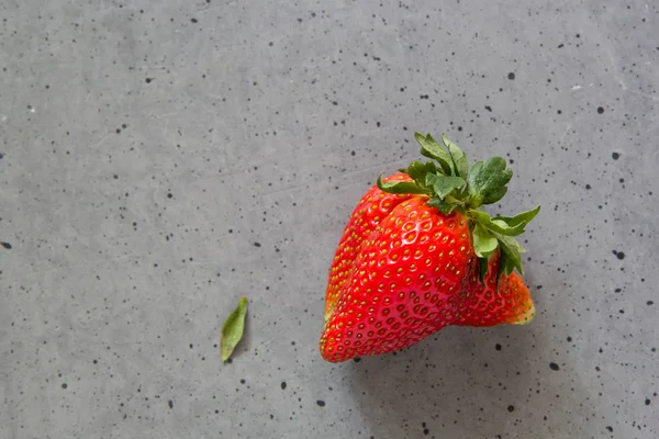 Ugly strawberry fruit. Misshapen produce, food waste concept. Organic deformed strawberry on grey background. Top view, horizontal