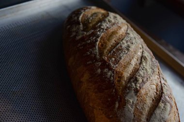 Taze çoklu tahıllı ekmek bakkal / fırında sergilenir