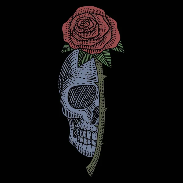 Totenkopf Rose Vintage Vektor Illustration Für Ihr Unternehmen Oder Ihre — Stockvektor