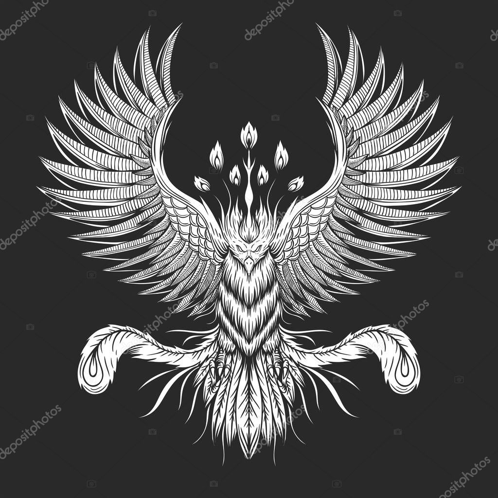 Phoenix Bird vector illustration
