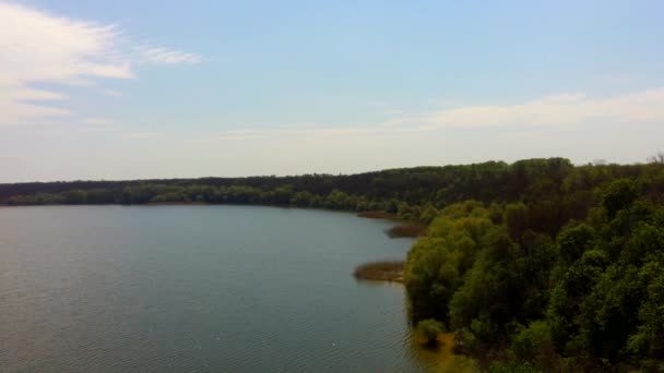 rivière et forêt vue aérienne 