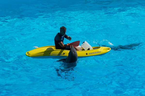 Ein Mann Einem Rettungsboot Neben Den Delfinen Schwimmt — Stockfoto