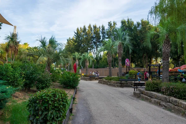 Rome Italy September 2019 Zoomarine Park Palm Trees Benches — Stock Photo, Image