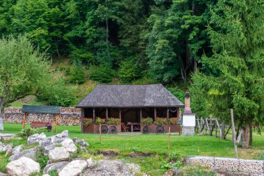 Piatra Craiului Massif, Plaiul foii, Zarnesti, Brasov ve Romanya 'nın eteklerindeki rahatlama yeri