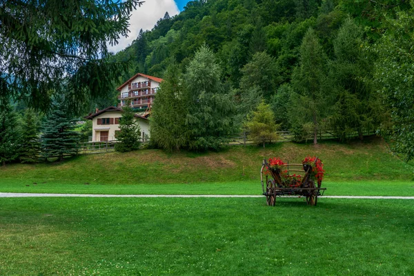 Piatra Craiului Massif, Plaiul foii, Zarnesti, Brasov, Romanya 'daki rahatlama yerine çiçek arabası yerleştirildi
