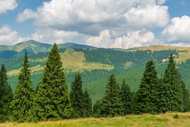 Prislop Geçidi, Denizcilik, Romanya manzarası