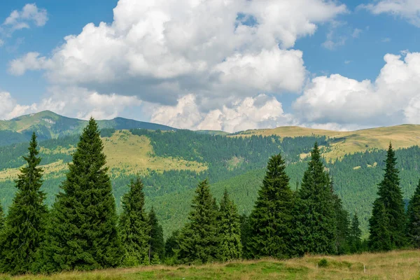 Landschaft Vom Prislop Pass Maramures Rumänien — Stockfoto