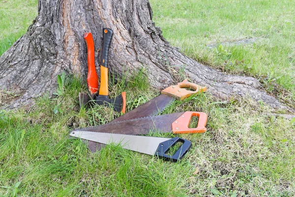 Τα εργαλεία ξυλουργικής κοντά στο δέντρο — Φωτογραφία Αρχείου