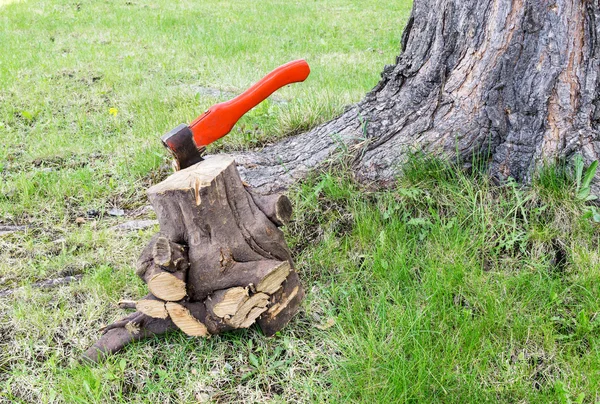 Tesařské nástroje poblíž stromu — Stock fotografie