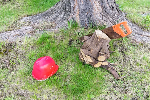 Столярные инструменты возле дерева — стоковое фото