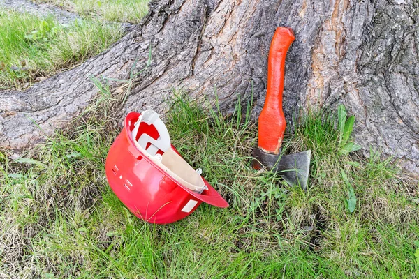 Carpentry tools near tree — Stock Photo, Image