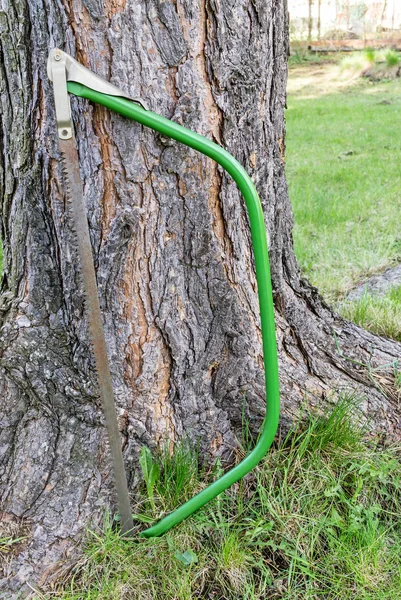 Плотницкий инструмент возле дерева — стоковое фото