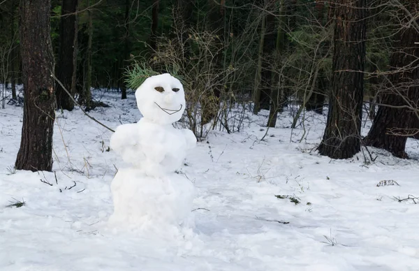 雪人站在森林背景上 — 图库照片