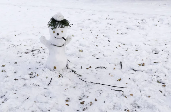 Sněhulák s doutníkem — Stock fotografie