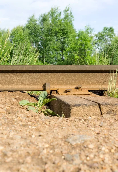 Gamle jernbanespor – stockfoto