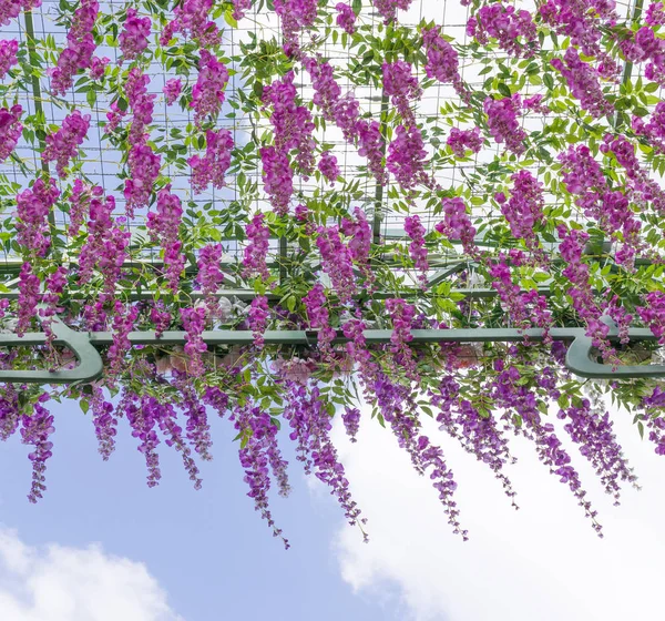 Garland yapay çiçek yaptı