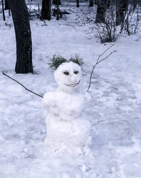 Pupazzo di neve nella foresta — Foto Stock