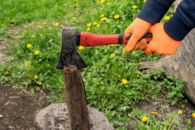 Turuncu eldivenli eller kırmızı saplı bir balta tutuyor ve kütüğe odun kesiyor.