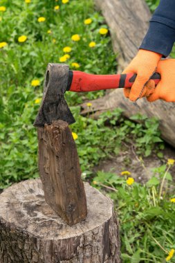 Turuncu eldivenli eller kırmızı saplı bir balta tutuyor ve kütüğe odun kesiyor.