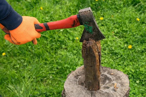 Hands in orange gloves hold an ax with a red handle and chop wood on a stump