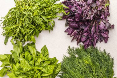 Taze bitkiler: fesleğen, roka, dereotu..