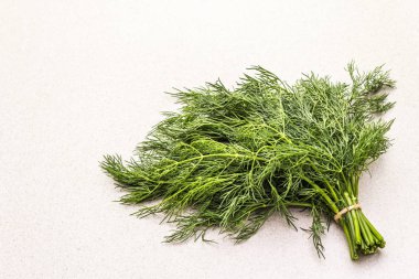 Taze organik dereotu.