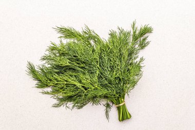 Taze organik dereotu.